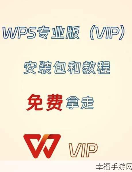 深度解析，WPS 专业版与个人版的显著差异