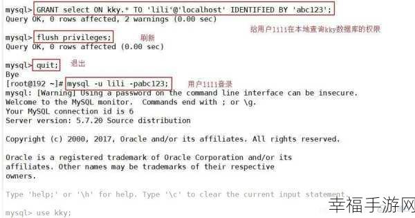 MySQL 命令失效之谜，深入探究与解决之道