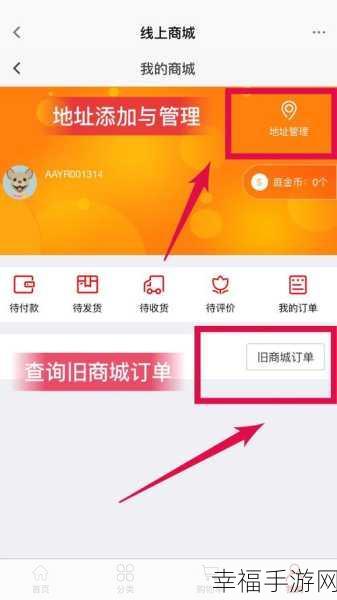 美篇 APP 改名秘籍，轻松更改名称与昵称的详细指南