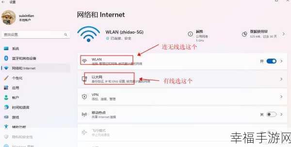 Win11 以太网有效 IP 缺失问题的完美解决之道