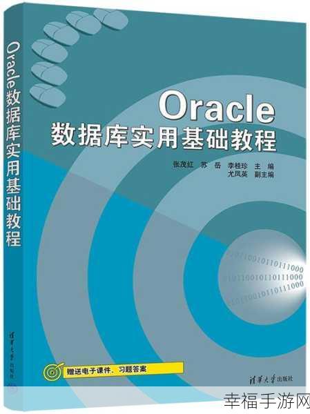 深入探索，Oracle 数据库基础的奥秘与关键