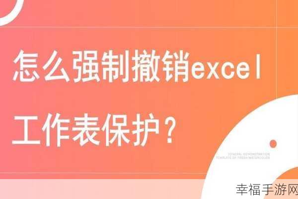 EXCEL 工作表保护密码撤销秘籍，两种强制清除妙法