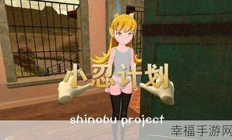 小忍女孩3D换装大赛，探索少女梦幻衣橱的奇妙之旅