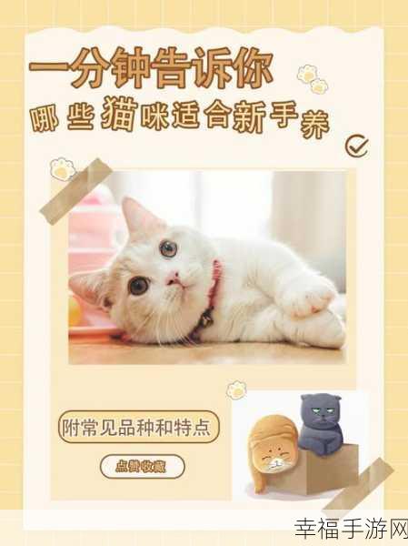 萌宠解谜新体验，猫保姆非图游戏下载及深度评测