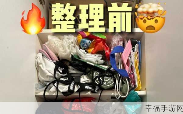 整理大师来袭！全新物品收纳师游戏，挑战你的整理极限