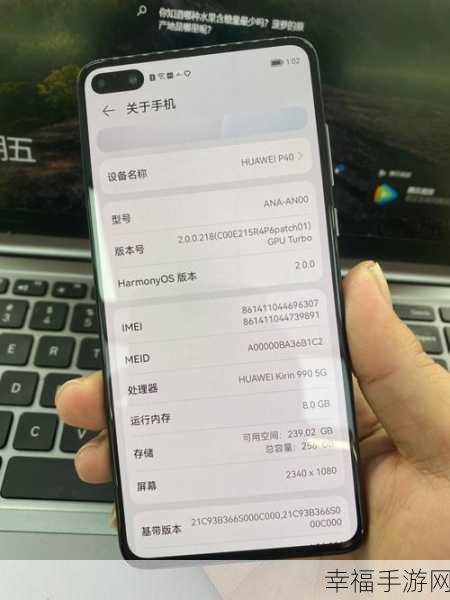 华为 P40 Pro 内存不足难题破解秘籍