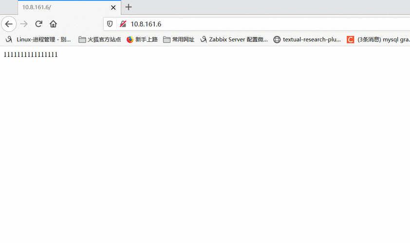 探秘 Nginx 反向代理的动态配置秘籍