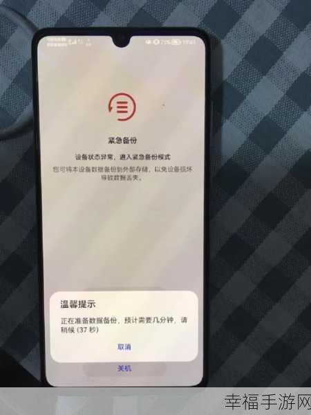 华为 P30 Pro 系统恢复时 WLAN 选择秘籍