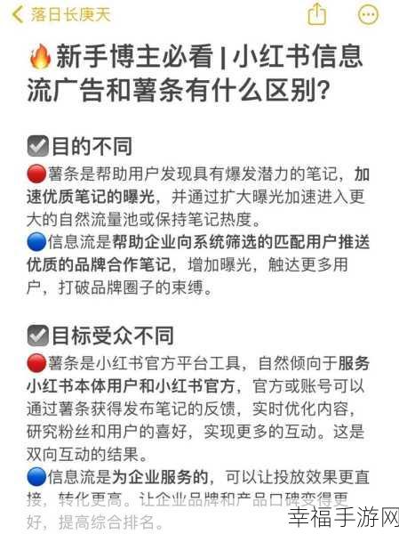 深度解析小红书薯条的神奇功能