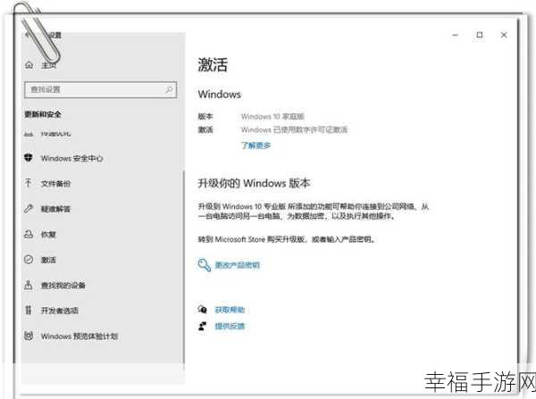 轻松实现，从 Win10 家庭版迈向 Win11 专业版的升级秘籍