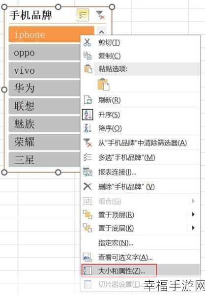 轻松掌握 Excel 数据透视表切片器的秘诀