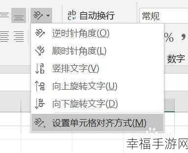 Excel 文字方向神奇颠倒技巧全攻略