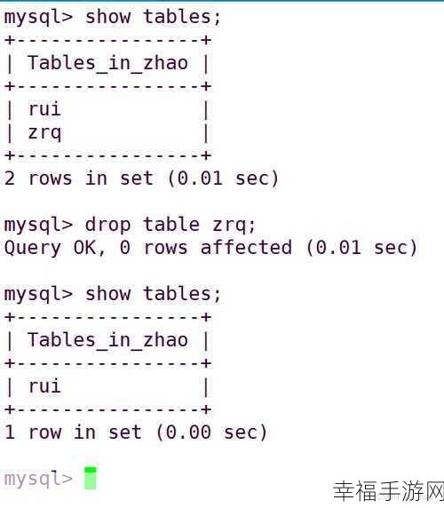 掌握 SQL DESC 实用技巧，轻松玩转数据库操作