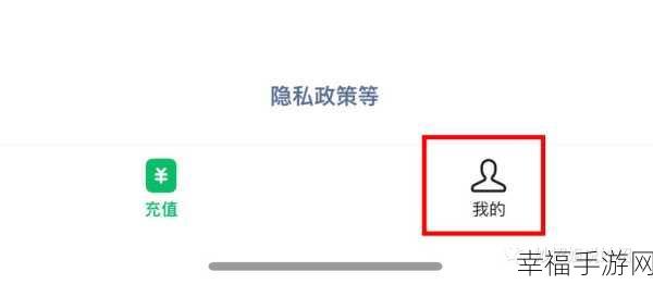 轻松掌握！微信 15 天流量使用情况查询秘籍