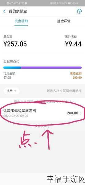 解锁支付宝余额宝冻结金额的秘密指南