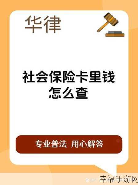 轻松掌握，12333 社保缴费记录查询秘籍