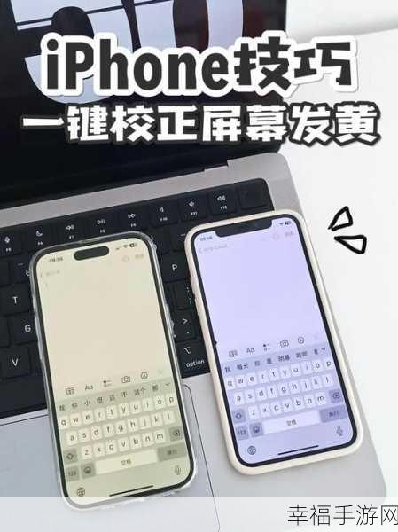 轻松搞定！iPhone 手机色彩滤镜功能关闭秘籍