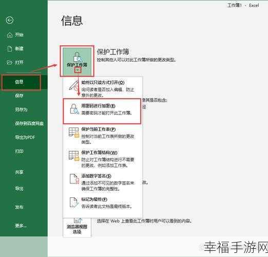 轻松破解 Excel 加密的秘籍大公开