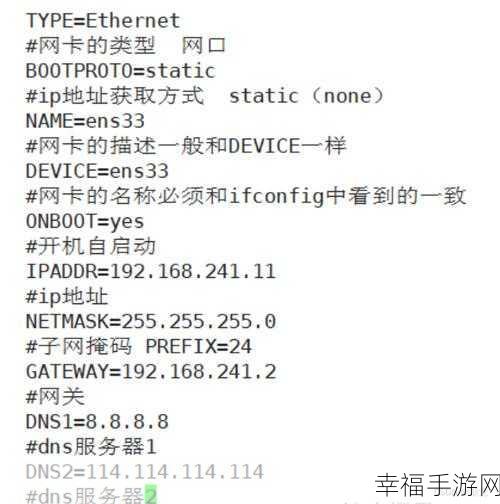 掌握秘籍！Linux 系统中网卡绑定多个 IP 全攻略