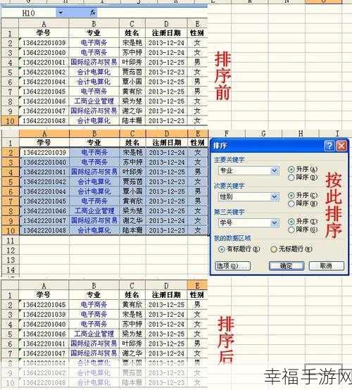 掌握 Excel 横向排序秘籍，轻松应对数据难题