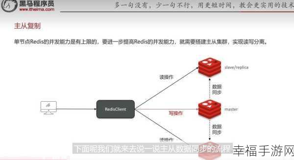 探秘 Redis 主从切换的查看之道