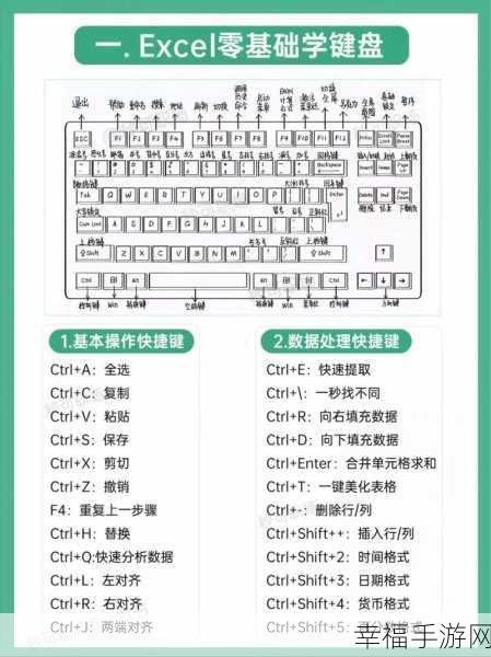 解决 Excel 数字显示E的实用秘籍