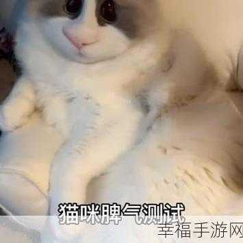 猫咪搭桥记，萌宠智闯休闲关卡，挑战你的脑力极限！