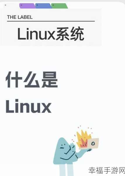 探秘，学习 Linux 的高效步骤全指南