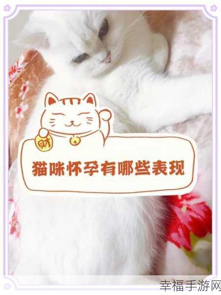 萌宠养成新体验，猫咪之恋手机版下载全攻略