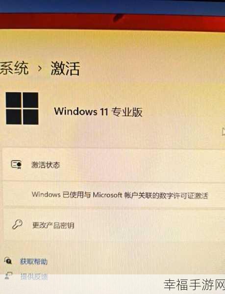 轻松搞定！Win11 透明窗口设置全攻略