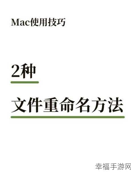 苹果 Mac 切换用户秘籍，4 大快速方法全解析