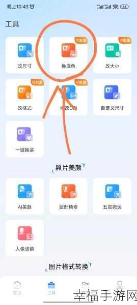 轻松搞定 Word 中证件照背景更换秘籍