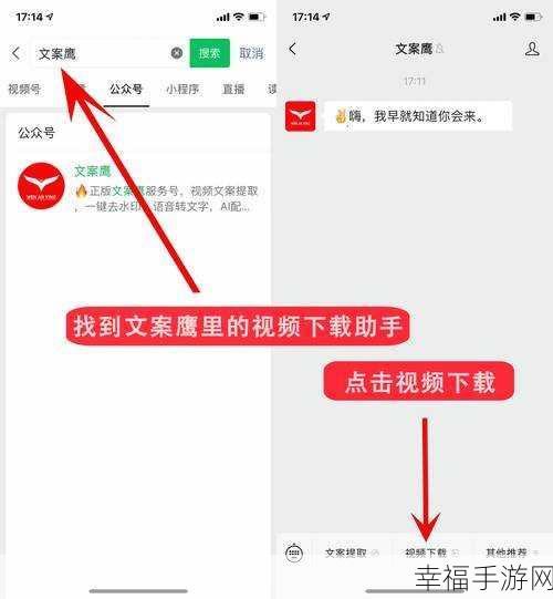 独家秘籍，轻松提取微信视频号视频的妙招