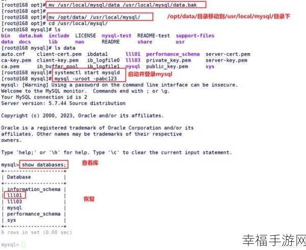 MySQL 中高效单独备份一个表的秘籍