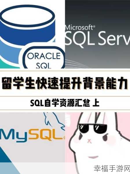 SQL 创建自动编号表秘籍，轻松上手的详细攻略