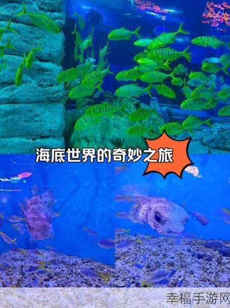 可爱画风新冒险！蒂尼瓦尔官方版下载开启，探索奇幻世界的奇妙之旅