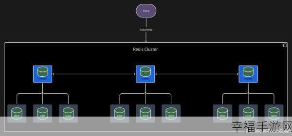 Redis 集群密码设置与查看秘籍大公开