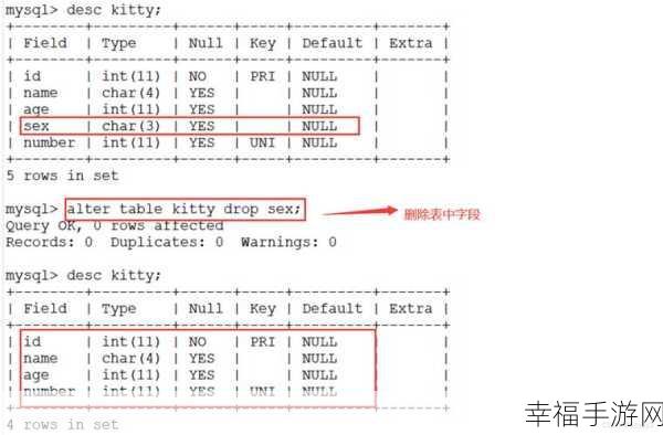 掌握 MySQL 数据库，轻松修改字段类型秘籍