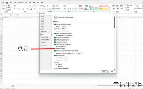 Excel 2003 中鼠标滚动方向能否设为横向？秘籍在此！