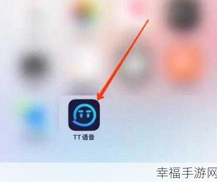 轻松搞定!TT 语音跟随进房关闭秘籍