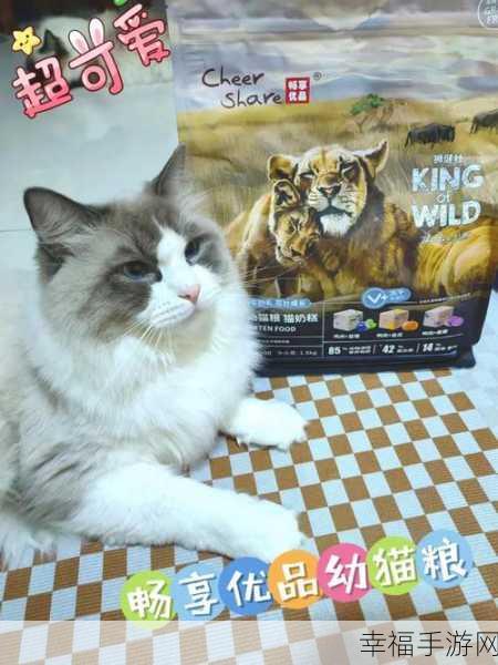 心动小猫无限金币版震撼发布，虚拟养猫新体验，金币无限畅享！