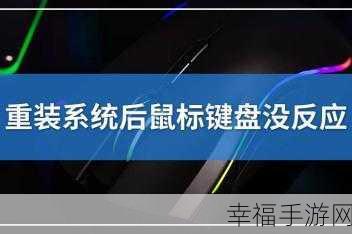 电脑重装系统后键盘鼠标失灵之谜与解决之道