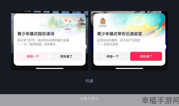 酷狗直播间青少年模式开启，他人能否进入的深度解析