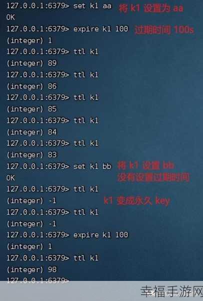 探秘 Redis Key 过期时间的查看秘籍