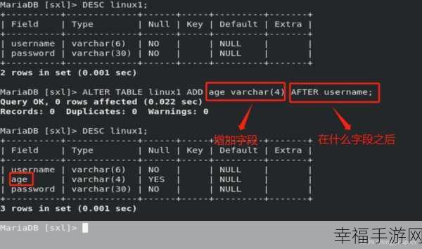 MySQL 安装成功后的隐藏秘密大揭秘