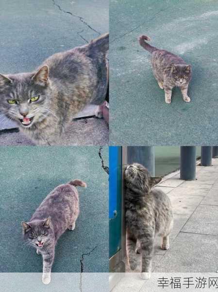 萌宠来袭！迷你小猫城市生存手游下载指南，打造你的喵星人冒险之旅