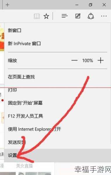 浏览器网页收藏只显示图标的秘籍大公开