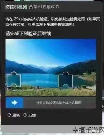 解密抖音滑块验证之谜，何时现身及应对策略