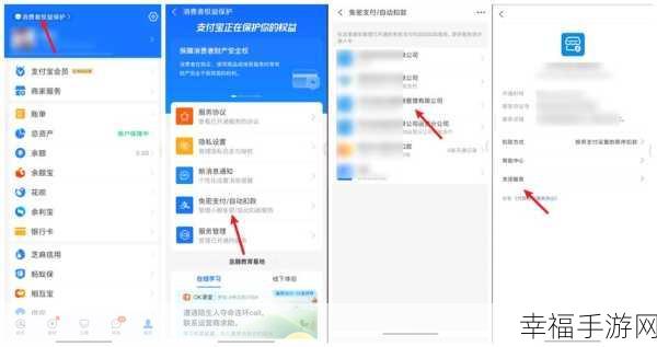 支付宝小额免密去哪了？权威攻略为您揭晓！