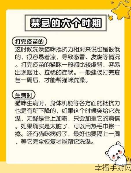 萌宠来袭！猫咪破坏方块消除游戏深度评测与下载指南